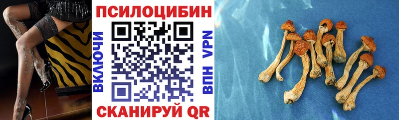 Купить  Салехард  Галлюциногенные грибы мухоморы 